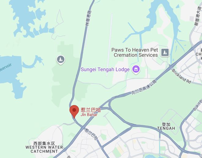 贴！这周日开始实施！事关全岛600万人九游会登录j9入口新加坡28个新政补(图29)